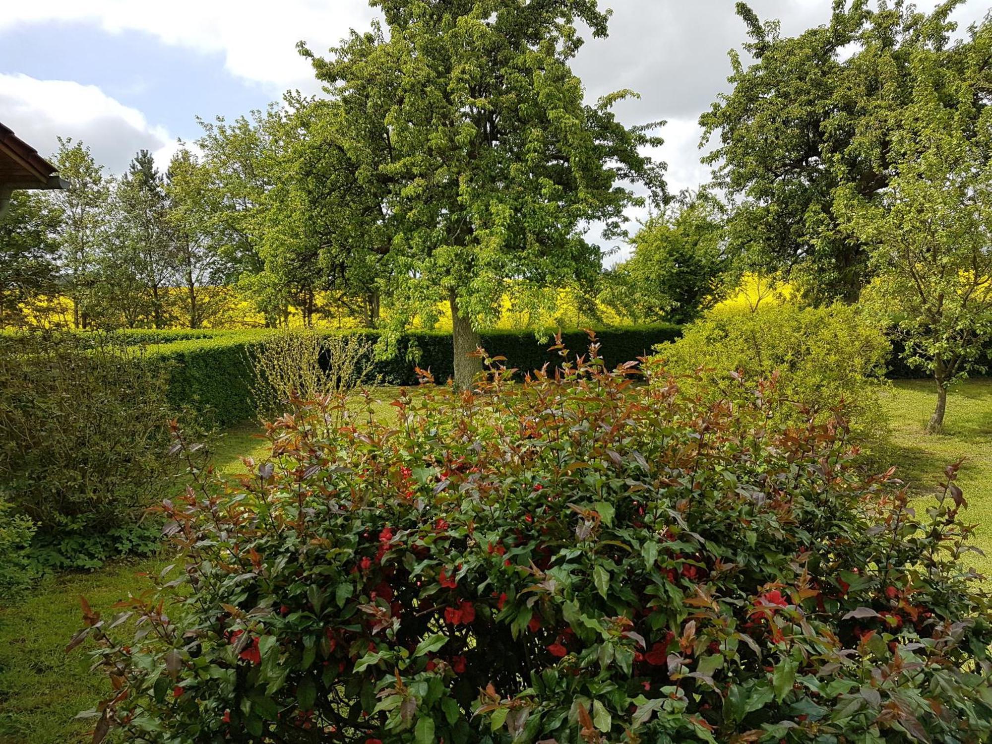 Ferienhaus Uckermark Casekow ภายนอก รูปภาพ
