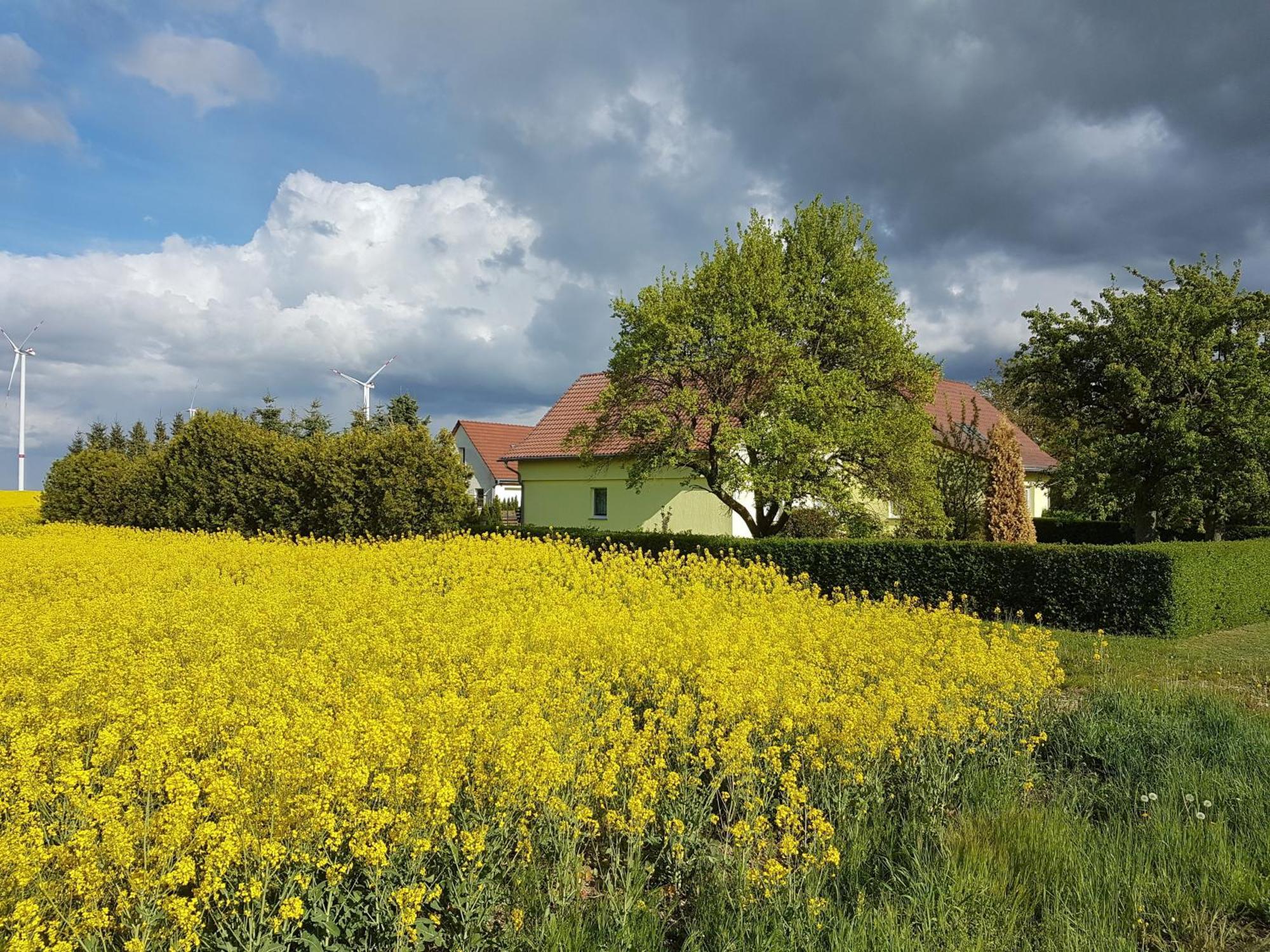 Ferienhaus Uckermark Casekow ภายนอก รูปภาพ